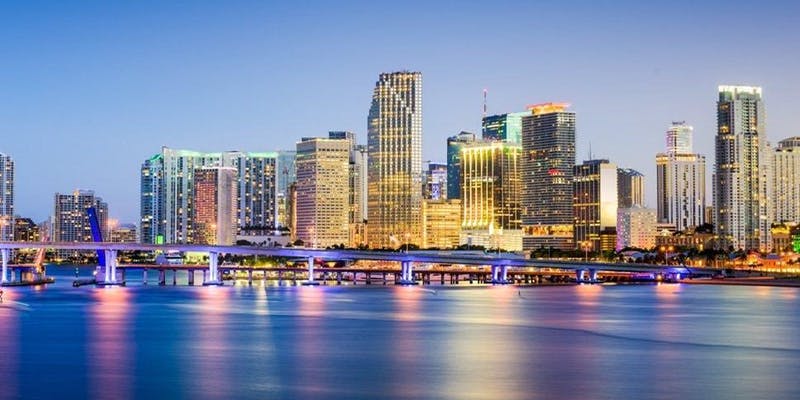 Miami Skyline for Miami Veg Fest 2020