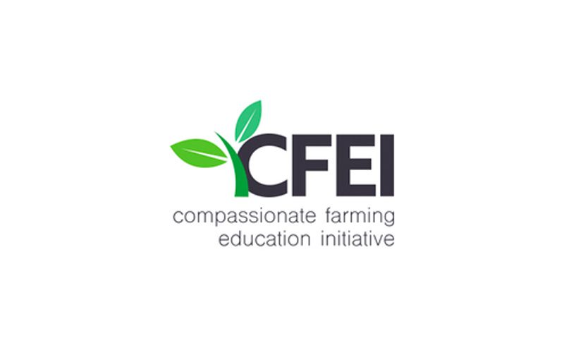 logo - cfei - 01 CFEI