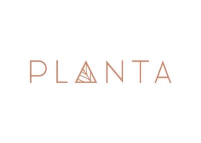 Planta Queen | Coconut Grove