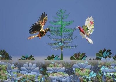 Birds by Litana Image