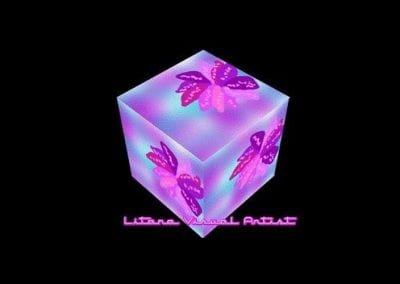 Cube by Litana Image