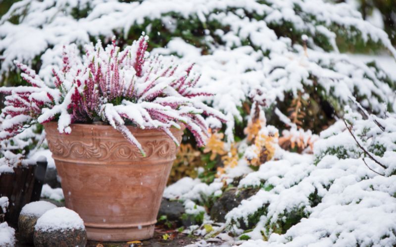 Tips for Maintaining a Garden Through the Winter