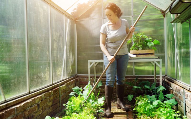 What Equipment You Need for a Greenhouse Garden